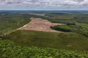 0 Old Cc Rd, Bethune, SC 29009 - Photo 5