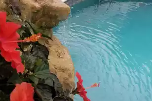 3646 Hilton Dr, Johns Island, SC 29455 - Photo 25