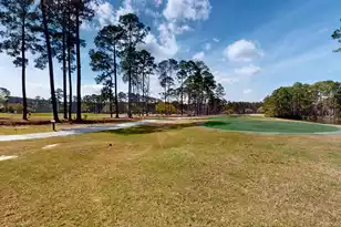 6 Rose Sage Walk, Bluffton, SC 29909 - Photo 49