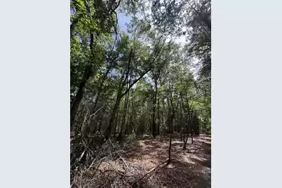 0 Cottonwood Lane, Walterboro, SC 29488 - Photo 3