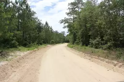 00 Stacey Bridge Rd, Orangeburg, SC 29118 - Photo 9