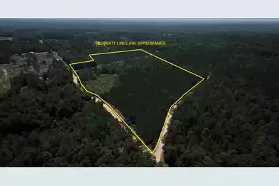 00 Stacey Bridge Rd, Orangeburg, SC 29118 - Photo 1