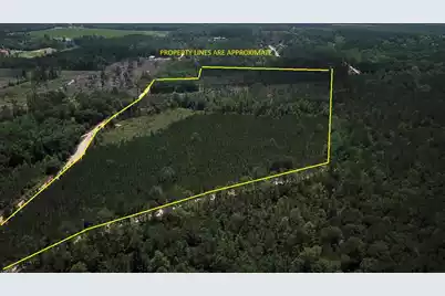 00 Stacey Bridge Rd, Orangeburg, SC 29118 - Photo 3