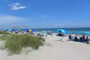 1001 Palmetto Blvd, Edisto Island, SC 29438 - Photo 35