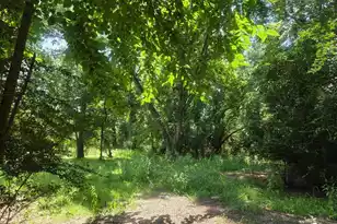 6385 SC-162, Hollywood, SC 29449 - Photo 9