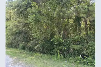 Tract 2 Tabernacle Road, Eutawville, SC 29048 - Photo 5