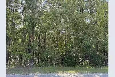 Tract 2 Tabernacle Road, Eutawville, SC 29048 - Photo 3