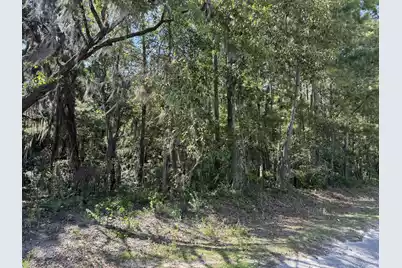 Tract 2 Tabernacle Road, Eutawville, SC 29048 - Photo 1