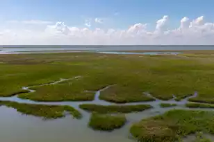 226 Old House Ln, Dewees Island, SC 29451 - Photo 39