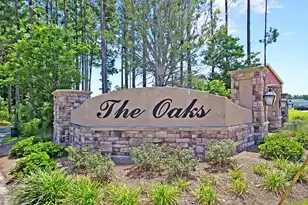 354 Beachgrass Ln, Summerville, SC 29486 - Photo 59