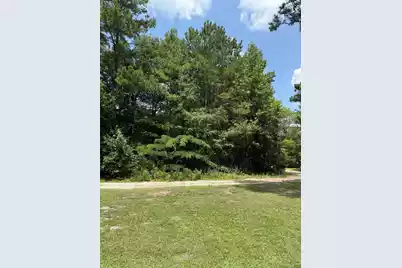 0 Mudville Road, Cross, SC 29436 - Photo 3