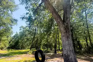 153 Willow Brook Way, Cordesville, SC 29434 - Photo 93