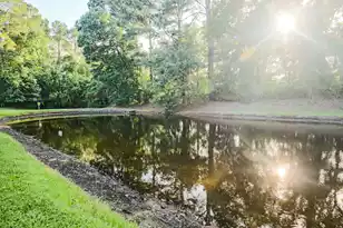 7950 Parklane Ct, North Charleston, SC 29418 - Photo 35