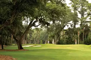 1334 Pelican Watch Villas, Seabrook Island, SC 29455 - Photo 43