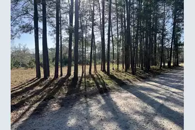 379 Chestnut Road, Walterboro, SC 29488 - Photo 29