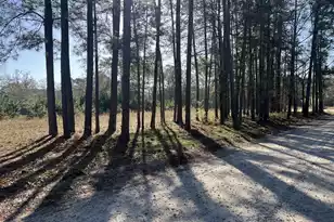 379 Chestnut Rd, Walterboro, SC 29488 - Photo 29