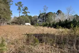 379 Chestnut Rd, Walterboro, SC 29488 - Photo 25