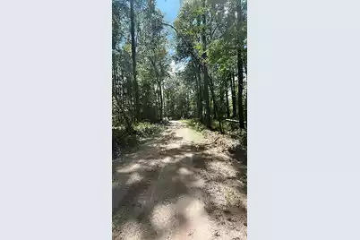 00 Shad Lane, Ridgeville, SC 29472 - Photo 3