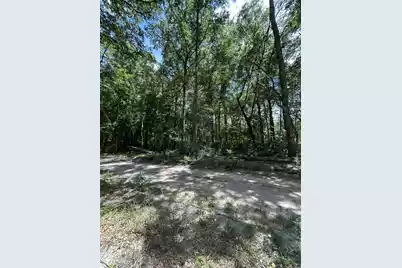 00 Shad Lane, Ridgeville, SC 29472 - Photo 5