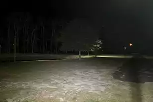 266 Wesley Grove Rd, Cordova, SC 29039 - Photo 43