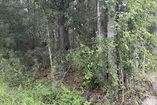 0 Walker Rd, Ridgeville, SC 29472 - Photo 1