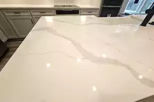 416 Cadbury Loop, Summerville, SC 29486 - Photo 9