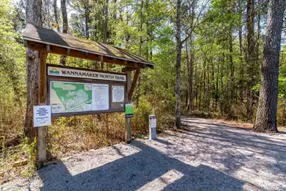 432 Duskywing Drive, Goose Creek, SC 29445 - Photo 43