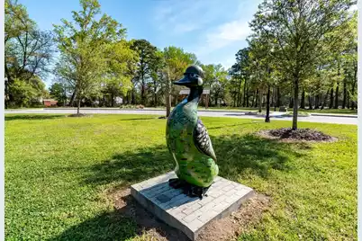 432 Duskywing Drive, Goose Creek, SC 29445 - Photo 33