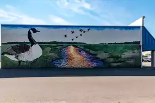 442 Duskywing Dr, Goose Creek, SC 29445 - Photo 49