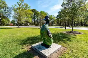 442 Duskywing Dr, Goose Creek, SC 29445 - Photo 41