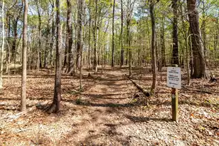 444 Duskywing Dr, Goose Creek, SC 29445 - Photo 43