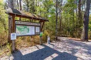 446 Duskywing Dr, Goose Creek, SC 29445 - Photo 45