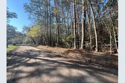 0 Willtown Road, Adams Run, SC 29426 - Photo 1