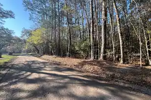 0 Willtown Rd, Adams Run, SC 29426 - Photo 1
