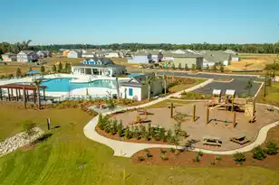 309 Salvia St, Moncks Corner, SC 29461 - Photo 5