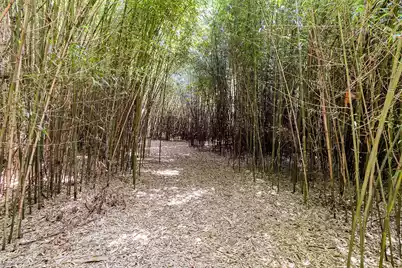 500 Parler Avenue N, Saint George, SC 29477 - Photo 21