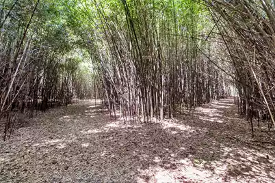 500 Parler Avenue N, Saint George, SC 29477 - Photo 23