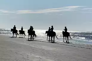 112 High Hammock, Seabrook Island, SC 29455 - Photo 39