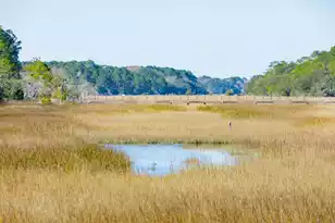 1515 John Fenwick Ln, Johns Island, SC 29455 - Photo 11