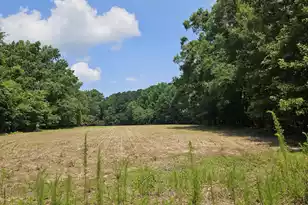 Lot 2A M W Rickenbaker Rd, Summerton, SC 29148 - Photo 1