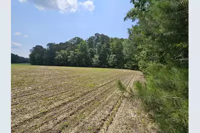 Lot 2A M W Rickenbaker Road, Summerton, SC 29148 - Photo 9