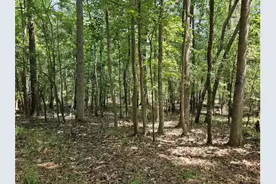 Lot 2A M W Rickenbaker Road, Summerton, SC 29148 - Photo 7