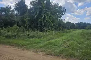 0 Jenkins Farm Rd, Johns Island, SC 29455 - Photo 1