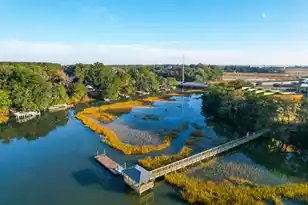 826 Curved Crk Ct, Charleston, SC 29412 - Photo 1