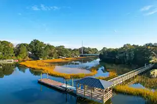 826 Curved Crk Ct, Charleston, SC 29412 - Photo 43