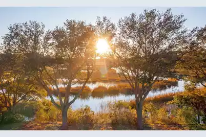 826 Curved Creek Court, Charleston, SC 29412 - Photo 7