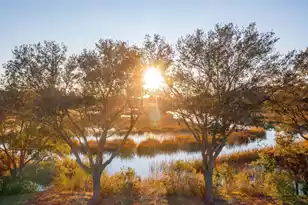826 Curved Crk Ct, Charleston, SC 29412 - Photo 7