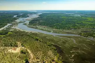 192 Chicora Ln, Yemassee, SC 29945 - Photo 33