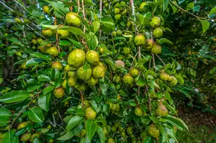 1342 1st Bend Rd, Harleyville, SC 29448 - Photo 61