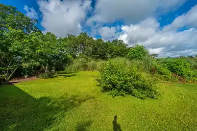 1342 1st Bend Road, Harleyville, SC 29448 - Photo 65
